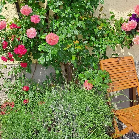 Casa de Férias Maria *